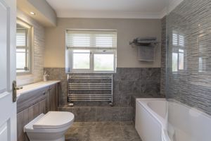 Photo 12- click for photo gallery